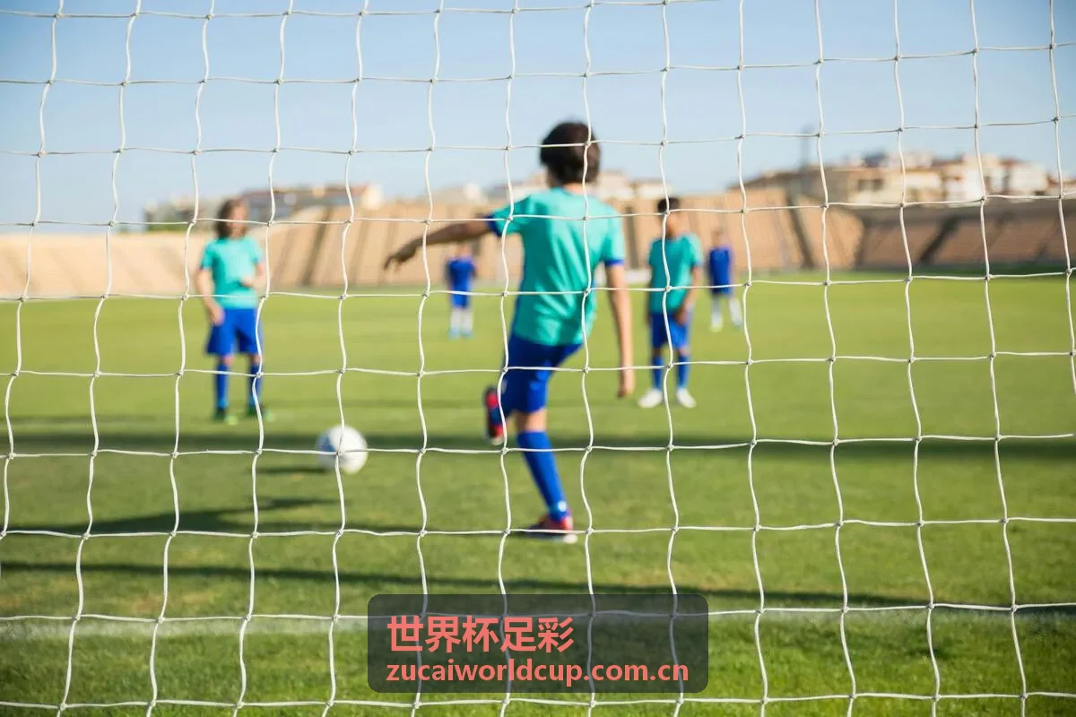 世界杯足彩赛果预测与模型分析